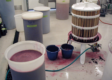 Wine in vats