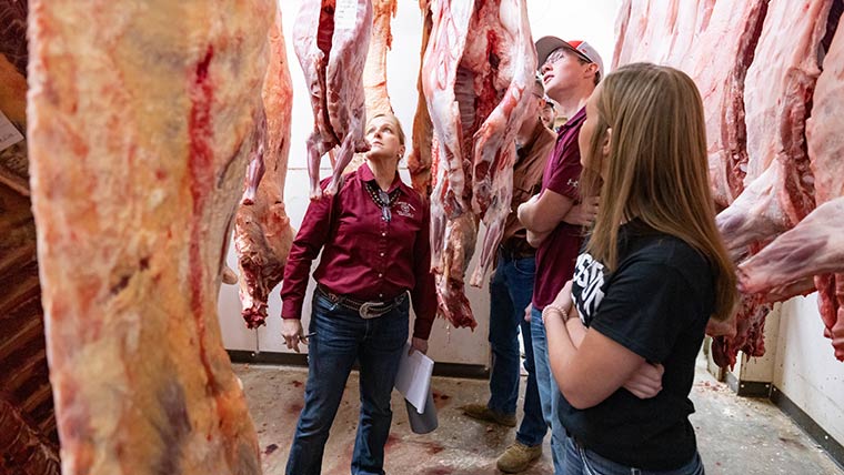 Students touring a meat processing plant.