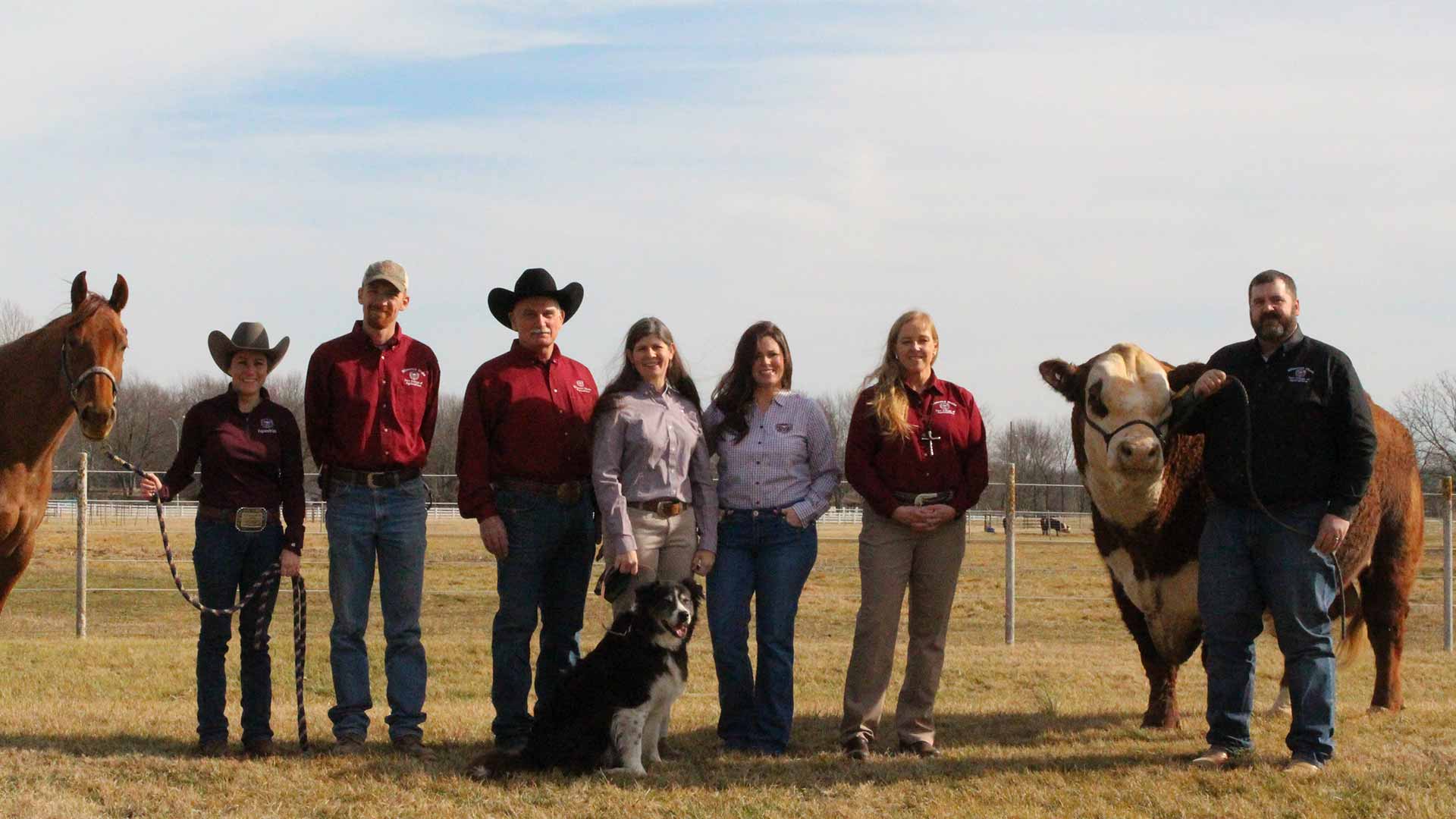 Animal science faculty posing with a horse, dog and cow.