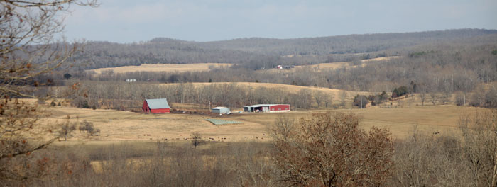 Country farm