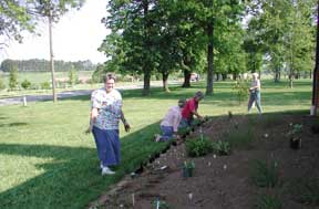 Master Gardener volunteers planting the edge of the garden
