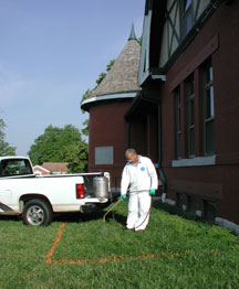 Spraying the area with herbicide