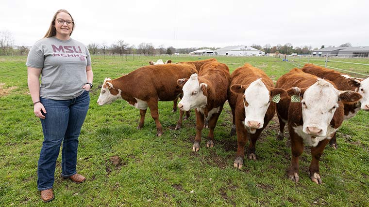Missouri State student and a herd of cows at Darr Agricultural Center.