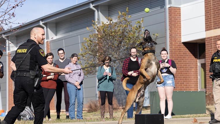 Students watching police dog in training exercise.