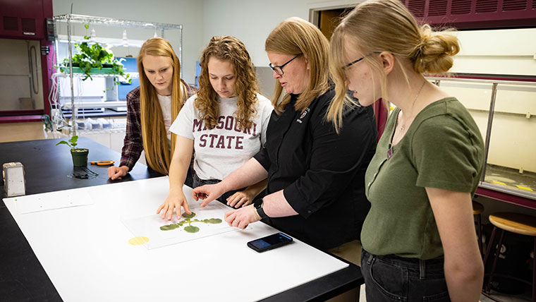 Dr. Melissa Bledsoe works with her three students on preserving plants.