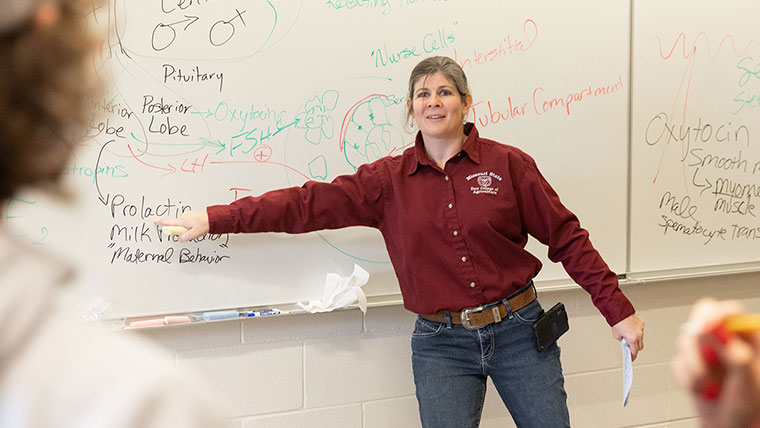 Dr. Lacy Sukovaty points to information about small animal (puppy) care on her whiteboard.