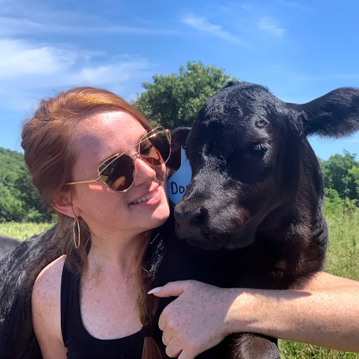 Macey Hurst, an MSU alum, with a calf