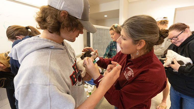 Dr. Lacy Sukovaty and a student examine a puppy during an animal science class.