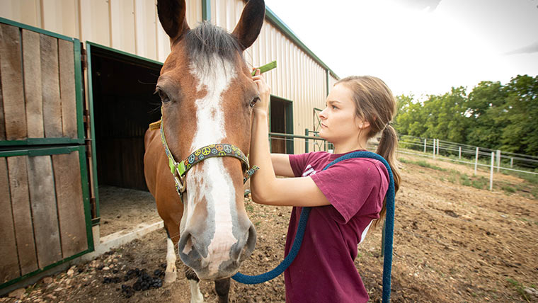 A student takes care of her horse.