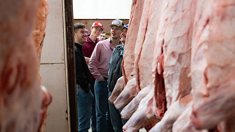 Ag students looking in awe at hanging beef carcasses while touring a meat processing plant.