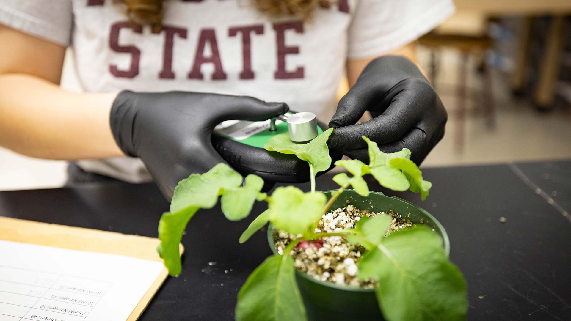 Taking samples from a plant in a science lab.