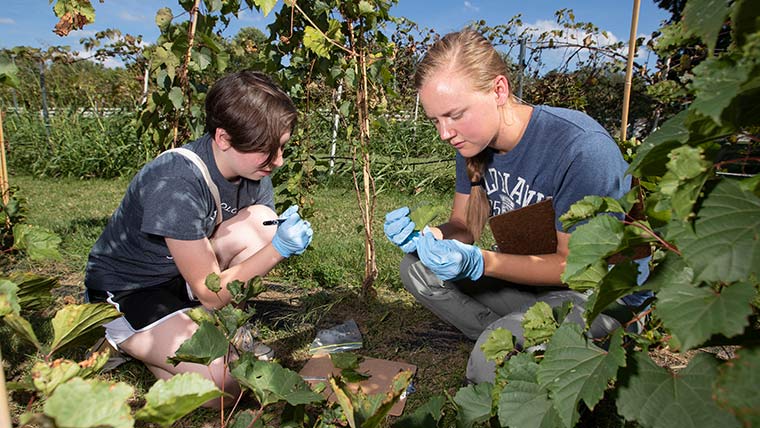 Two students gardening in a field.