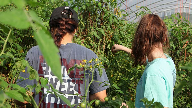 Two students working in a greenhouse.