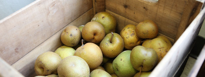 crate of apples