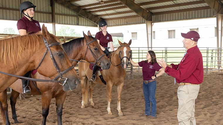 Student handling horse in stable.