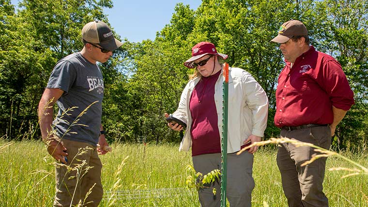 Dr. Melissa Bledsoe, Dr. Michael Goerndt and ag student Stewart McCollum inspect young walnut trees at a ranch in the Ozarks.