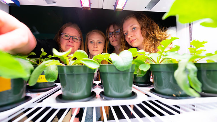 Three graduate students and a professor examine plants in an incubator.