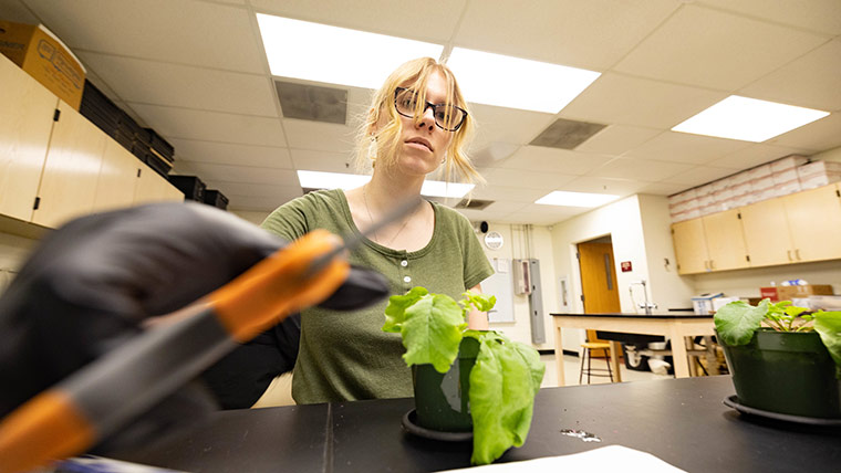 A student collects specimen samples from a plant.