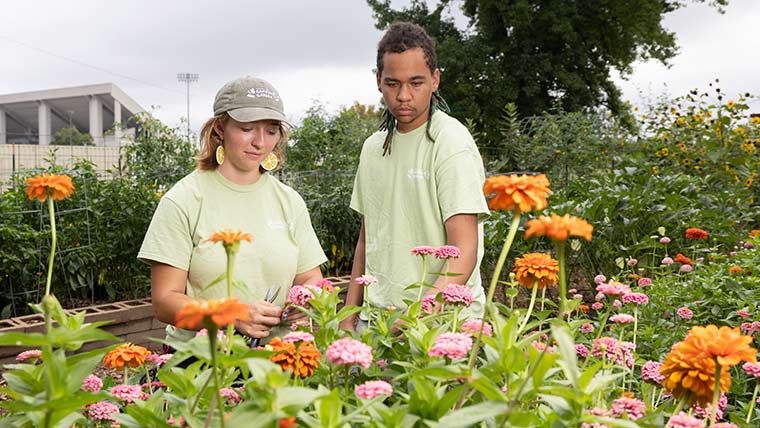 Two students pick flowers from a garden.