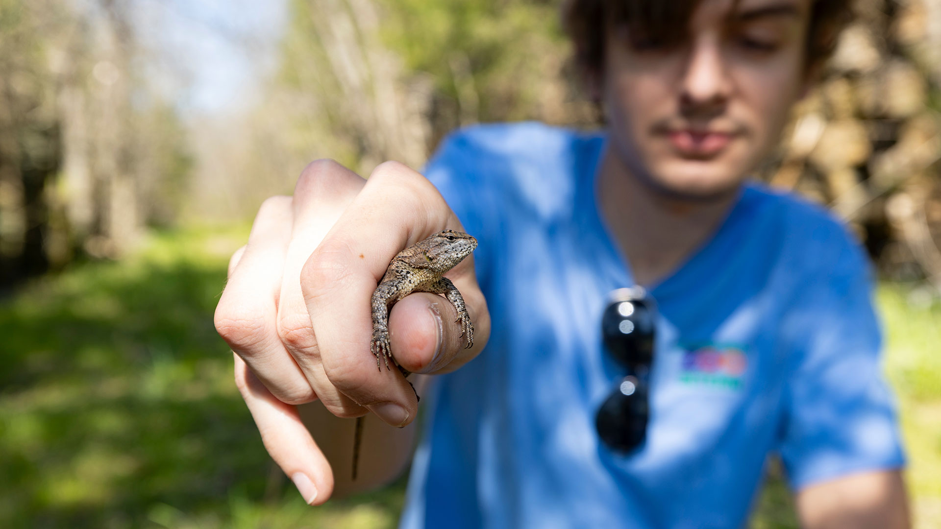 A student holds out a lizard on a herpetology field trip.