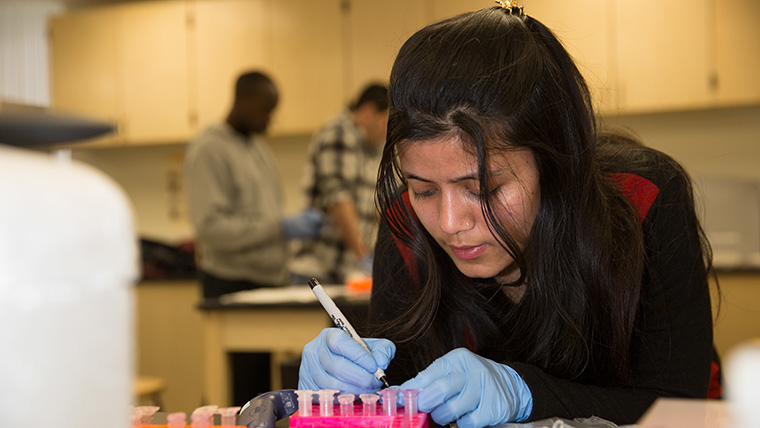 Student measuring lab samples during a class.