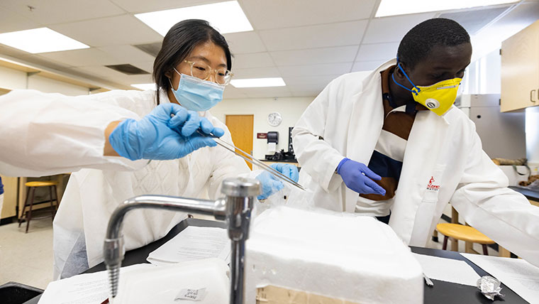 Student and professor working together in lab room.